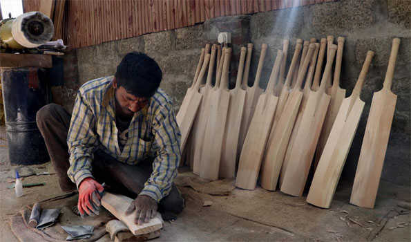 Kashmir bat makers urge govt for mass willow plantation