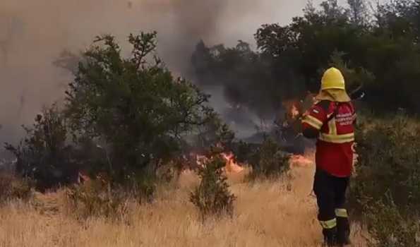 Forest fire razes over 8,200 hectares of Argentine national park