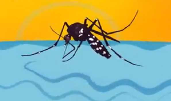 Italy raises dengue border alert level