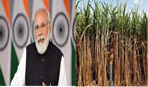 PM Modi hails cabinet decision for increasing sugarcane prices; calls it  'historic'