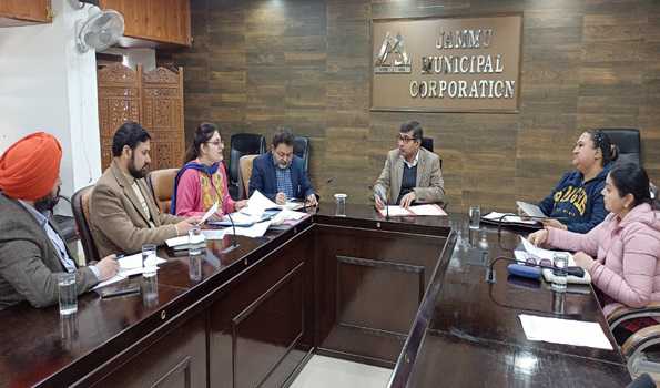 Over 38K stray dogs sterilized from Dec 2014 till Jan 2024 in Jammu Municipal limits