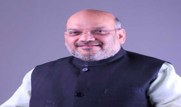 Maha: Amit Shah to address public rally on March 5 ahead of  LS election