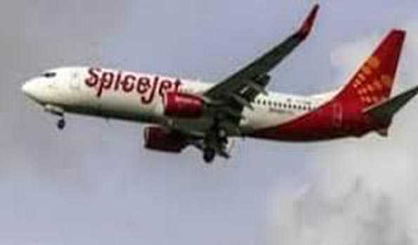 Spice Jet & Cross Ocean Partners settle Rs 93 crore dispute
