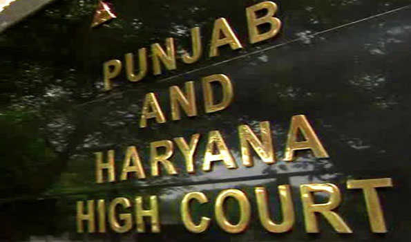 HC orders judicial probe into farmer Shubhkaran Singh's death