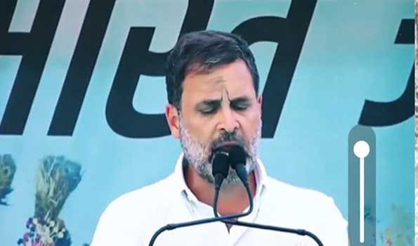 BJP depriving tribals of their rights as forest dwellers: Rahul Gandhi