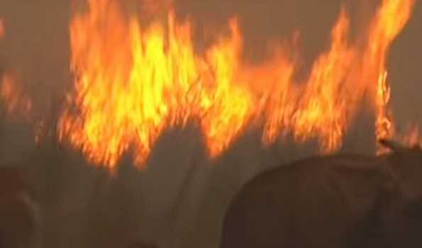 2 dead in Philippine capital fire