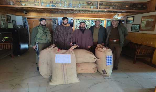 J&K: Police arrest 2 drug peddlers with 90 kg poppy straw