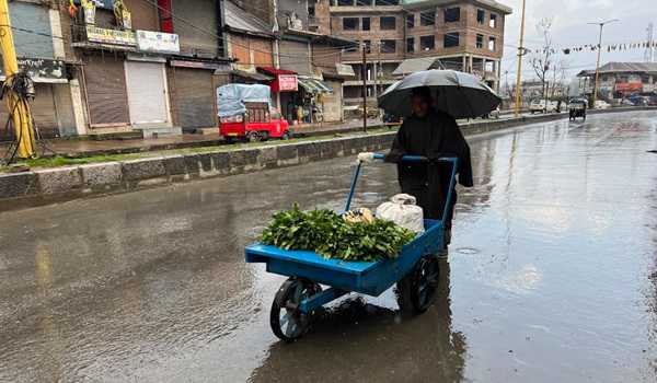 Kashmir plains lashed by rains, snowfall at Gulmarg