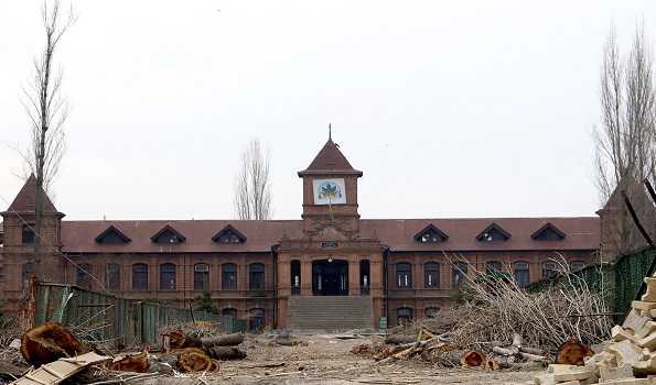 Anger over axing of poplar trees at Srinagar historic college