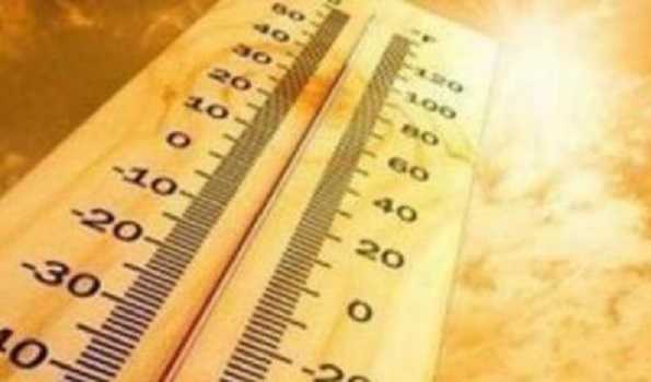 Hot, humid & discomfort weather likely in Rayalaseema in next 5 days: Met