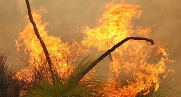 Bushfire "contained but not controlled" after properties destroyed in Western Australia