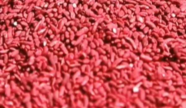 Japanese drugmaker recalls red yeast rice supplements as 1 death reported