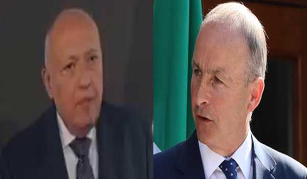 Egyptian, Irish FMs discuss efforts to realize Gaza ceasefire