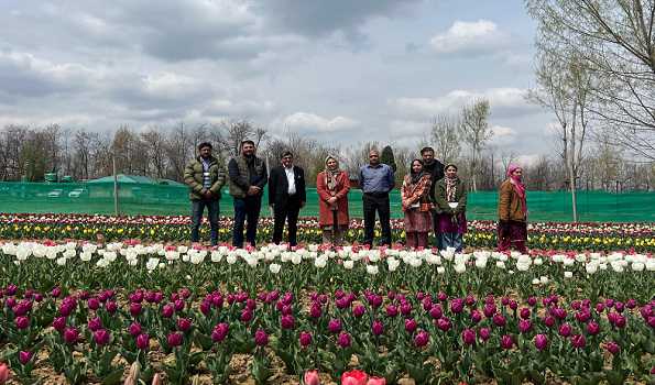 CSIR IIIM successfully initiate Tulip cultivation in J&K’s Pulwama