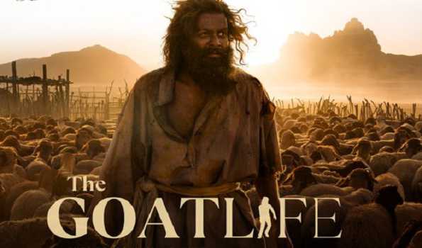 'The Goat Life' roars at box office with 100 cr collection