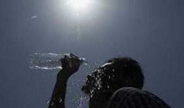 Hot, humid & discomfort weather likely to prevail in Rayalaseema in next 5 days: Met