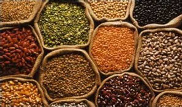 Government  warns of strict action against hoarding  in Pulses