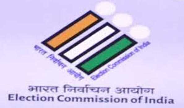 Maha: Stage set for polling in 5 LS seats in Vidharbha region