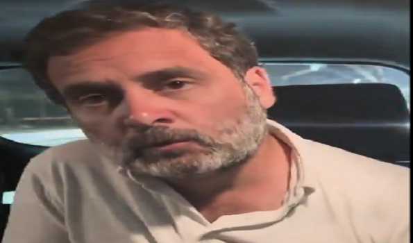 You are the backbone and DNA of our party: Rahul Gandhi to Karyakartas