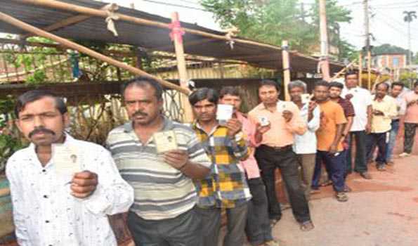 West Tripura PC records 34.6 pc voting till 11 am