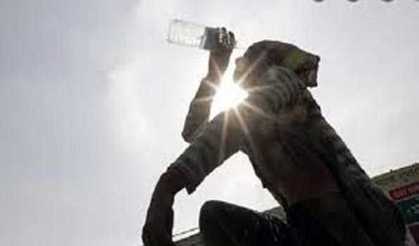 Andhra to stay hot, humid for next 5 days: Met