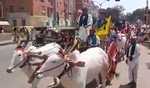 Muttannavar's bullock cart rally in Dharwad captures attention in lead-up to LS polls