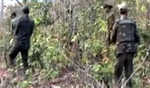 7 Maoists killed in encounter with security forces in Chhattisgarh
