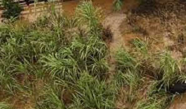 29 killed in southern Brazil