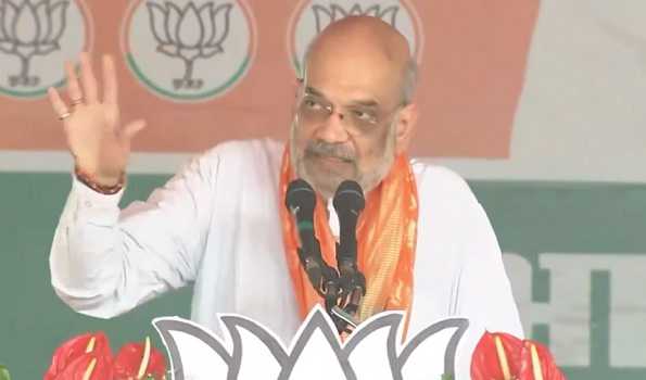 SP family oriented party, can't see beyond its clan: Amit Shah