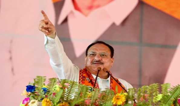 Congress and RJD committed scams everywhere: Nadda