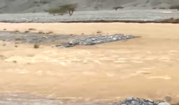 At least 7 killed in flash flood in NE Iran