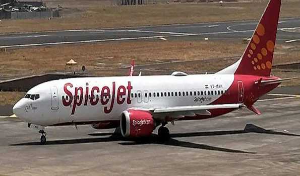 Leh-bound SpiceJet flight lands back to Delhi after bird hit