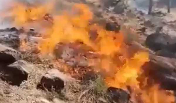 J&K: Fire engulfs forest area near LoC in Rajouri