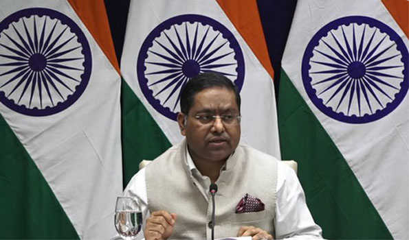 Not made any FTA proposal to the Maldives yet: India