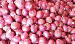 India lifts ban on onion exports amid Lok Sabha polls