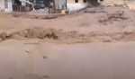 Death toll from Afghanistan's floods rises to 160: officials