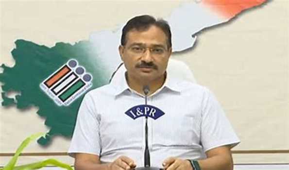 Everything in place for counting of votes, DC tells CEO