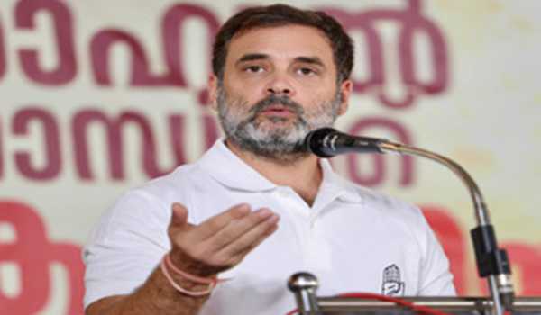Rahul yet to decide on Wayanad or Rae Bareli