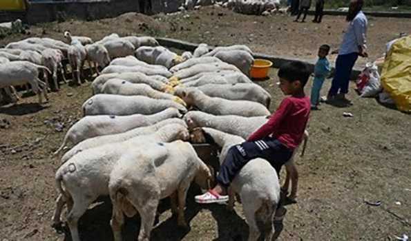 Ahead of Eid, Kashmir markets abuzz with shoppers