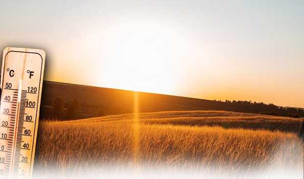 Una in HP sizzles at 44.6 degrees C