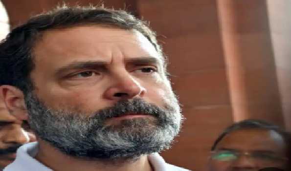 Attack on Constitution by PM, HM not acceptable: Rahul Gandhi