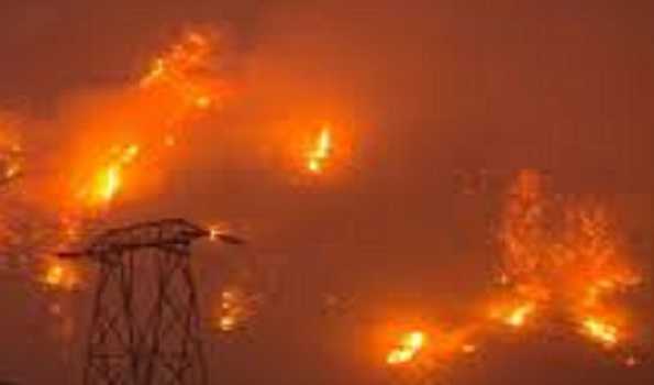 Malfunction in electricity pole blamed for deadly wildfire in Turkey