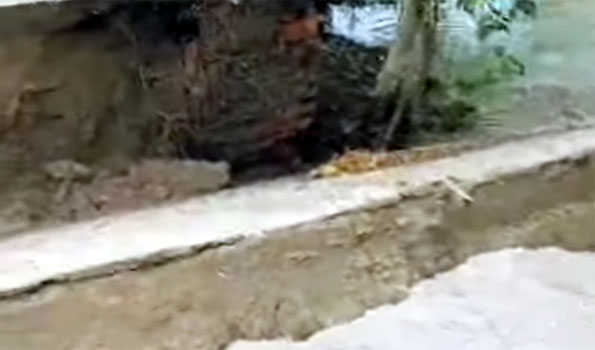 14th bridge collapses in 23 days in Bihar