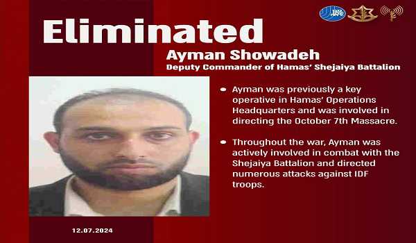 Israeli army announces killing of senior Hamas commander in N Gaza
