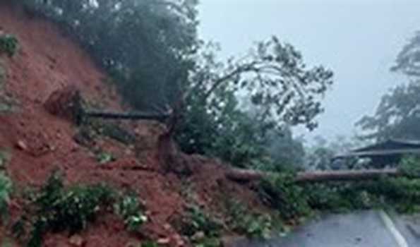 At least 11 confirmed dead due to landslide in Vietnam's mountainous north