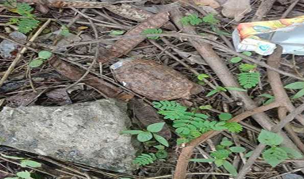 J&K: Rusted grenade found in parking area of HC