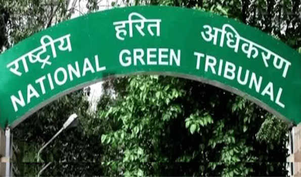 Waste dumping in HP: NGT issues notice to pollution control boards