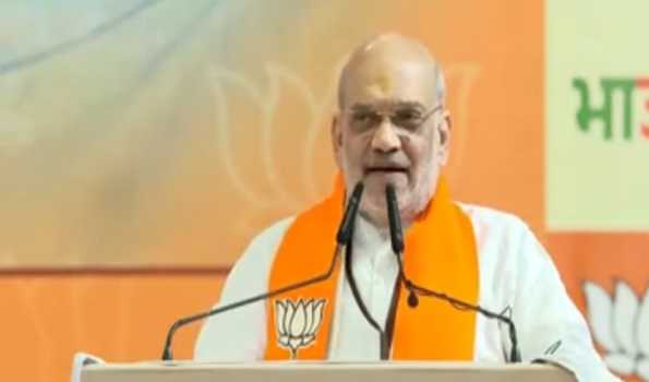 Our party workers disappointed, expected more LS seats: Amit Shah