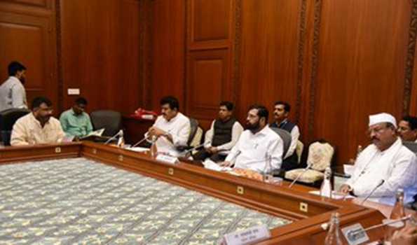 Maha: CM approves fund of Rs 800 cr for Integrated Turmeric Research Centre