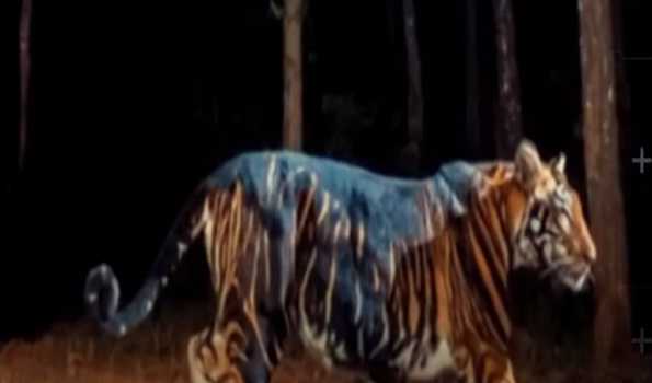 Melanistic Tiger Safari to be established at Similipal in  Odisha